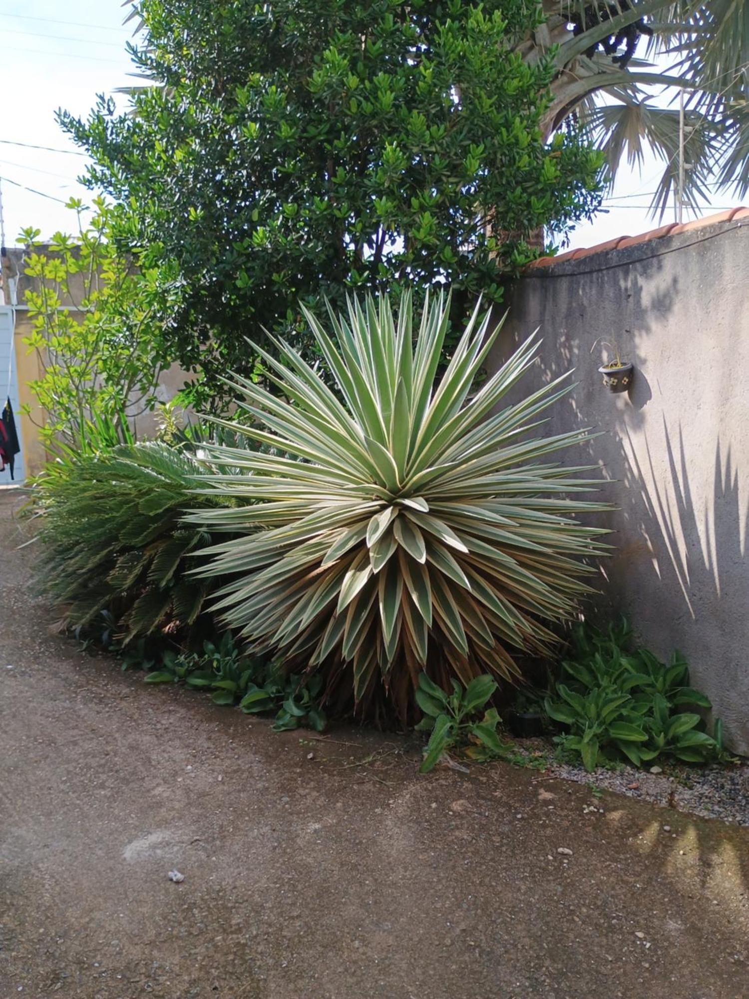 Casa Em Buzios Villa Exterior photo